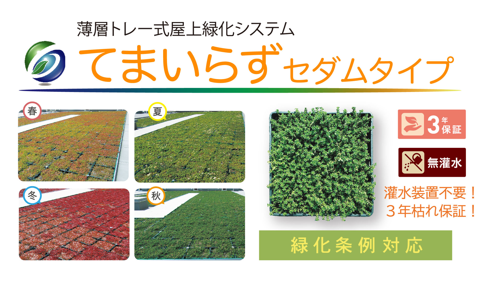 屋上緑化：薄層トレー式てまいらずセダムタイプ