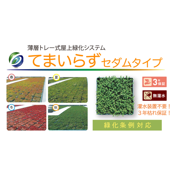 イプロス屋上緑化てまいらずセダムタイプ.jpg