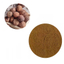 Shrunken sand extract powder, a natural material suitable for promoting digestion and gastrointestinal care.