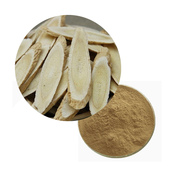 Astragalus Extract.jpg