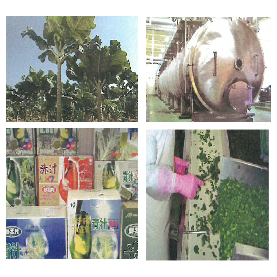 有限会社ミラクルフード  事業紹介