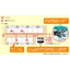 Simple emergency power supply system