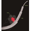 Next-generation lifting wire rope "High Cross Rope (HX)"