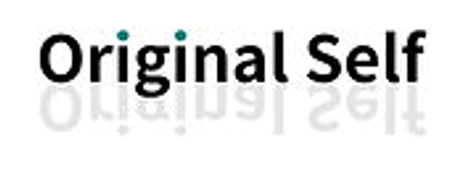 経営サポートサービス（OriginalSelf合同会社）