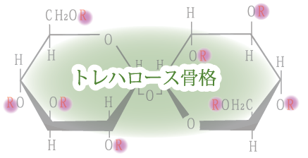 化粧品原料『トレハロースCA』