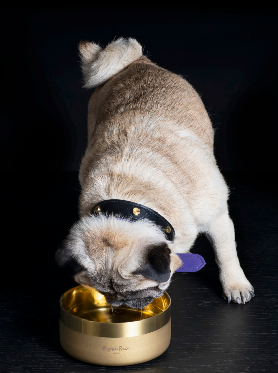 フードボウル　ＢＵＳＴＥＲ＋ＰＵＮＣＨ　バスターパンチ