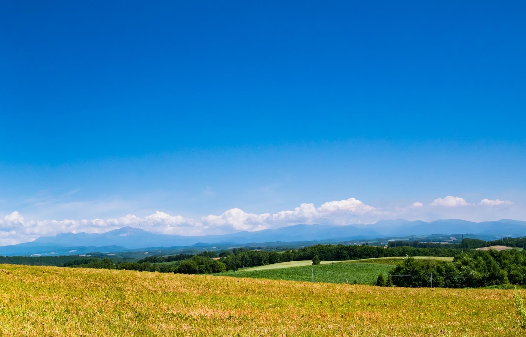 北海道産オリジナル原料