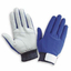 Light-duty leather gloves 'C660W/BU'