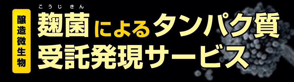 大関「麹菌によるタンパク質受託発現サービス」