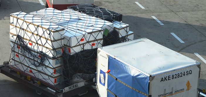 株式会社エスグロー　事業紹介