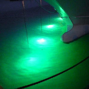 小型LED水中灯『LW-100』