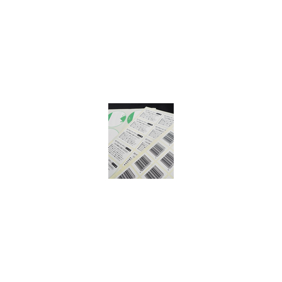 pap01.jpg