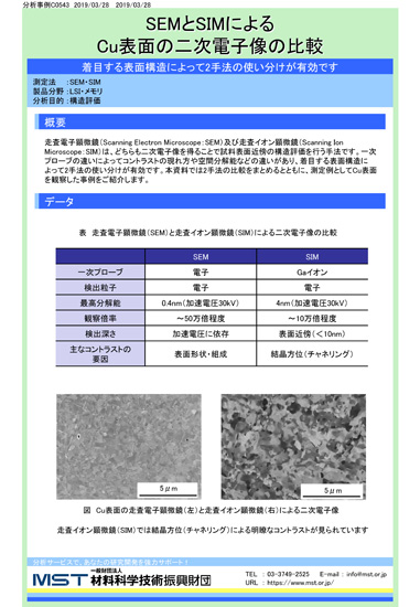 【分析事例】SEMとSIMによるCu表面の二次電子像の比較