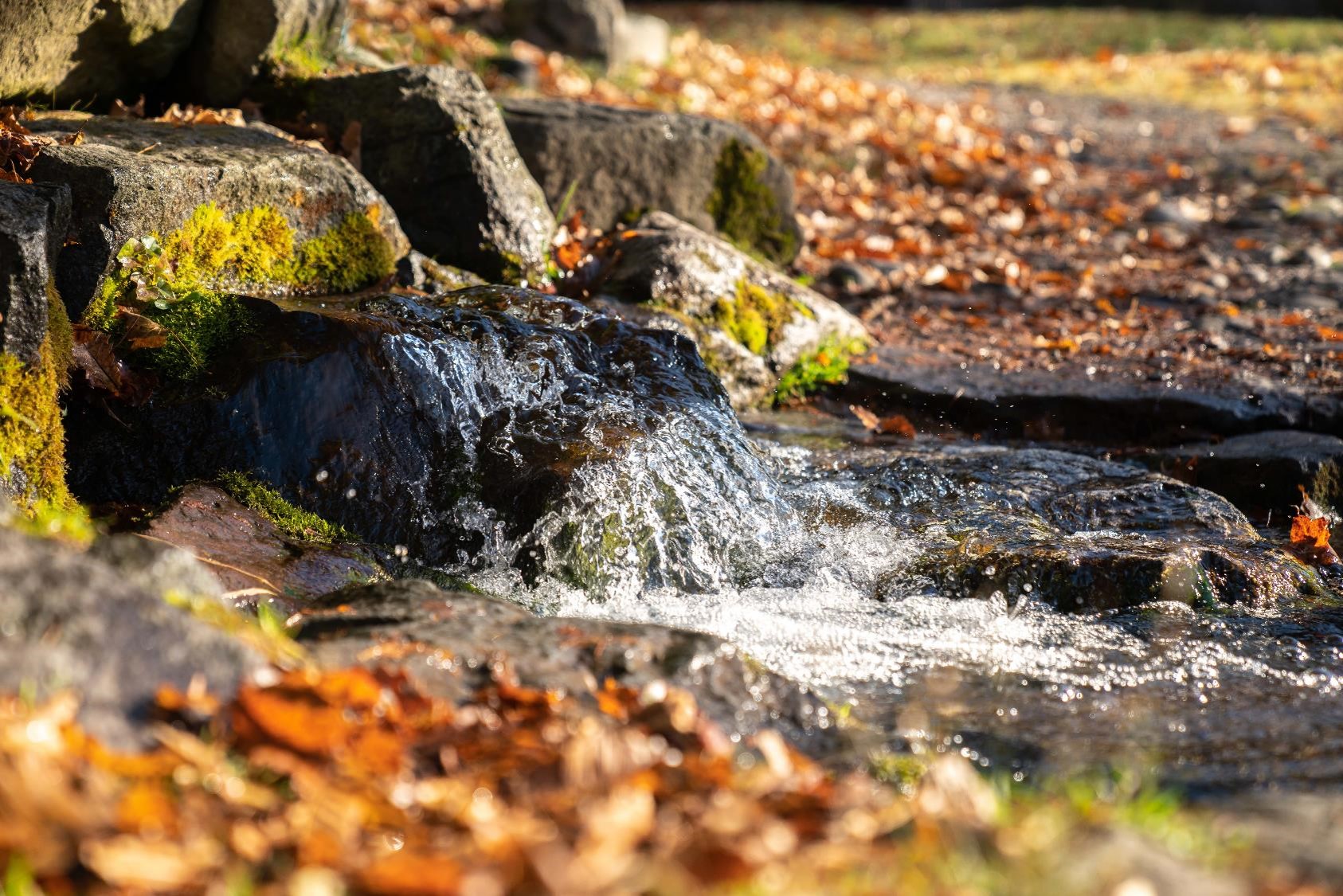 北海道産 原料『美肌の湯 温泉水』