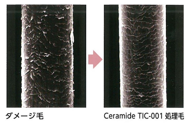 セラミドNG『CERAMIDE TIC-001』