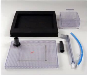 ボトムスポンジフィルター