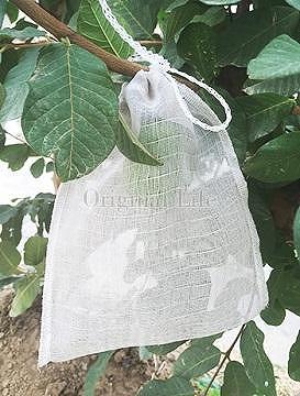 グリーンエネルギー:果物や野菜の虫対策ネット