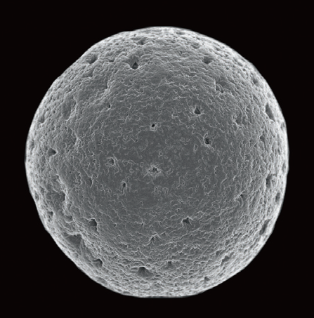 化粧品原料用 セルロース粒子『セルフロー』