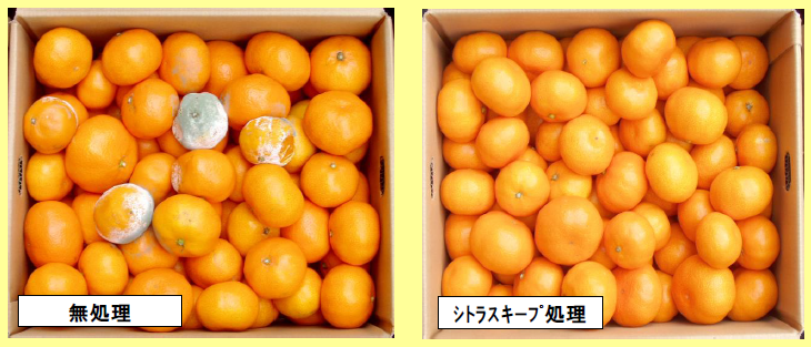 柑橘類保存料製剤『シトラスキープ SK-202A』 阪本薬品工業 | イプロス