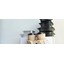 Four Tips for Choosing Takeout Containers for Restaurants Starting a Takeout Business!