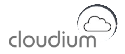 文書ファイル専用クラウドファイルサーバ『cloudium』