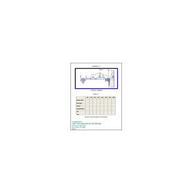 [English Market Research Report] EV...