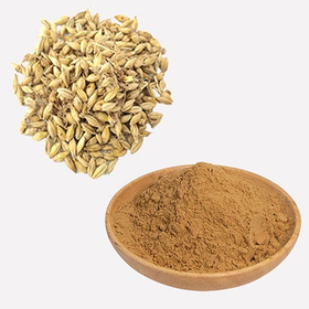 Barley Malt Extract.jpg