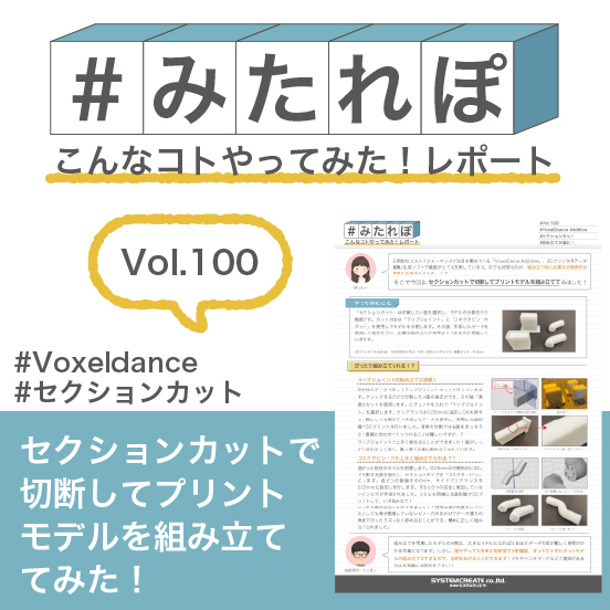 みたれぽ[100]セクションカットで切断しモデルを組み立ててみた