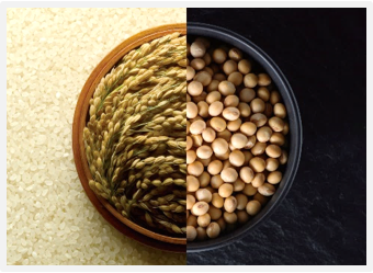 機能性食品原料 オリジナル原料『CELABIO-F』