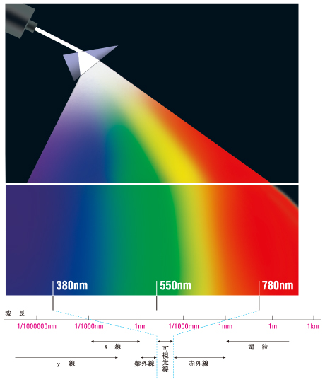 カラーストーリー　光のスペクトル(分光分布)
