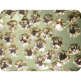 TNE coating 01_副本.jpg