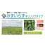 Rooftop greening: Thin-layer tray type, self-watering, Kiri grass type