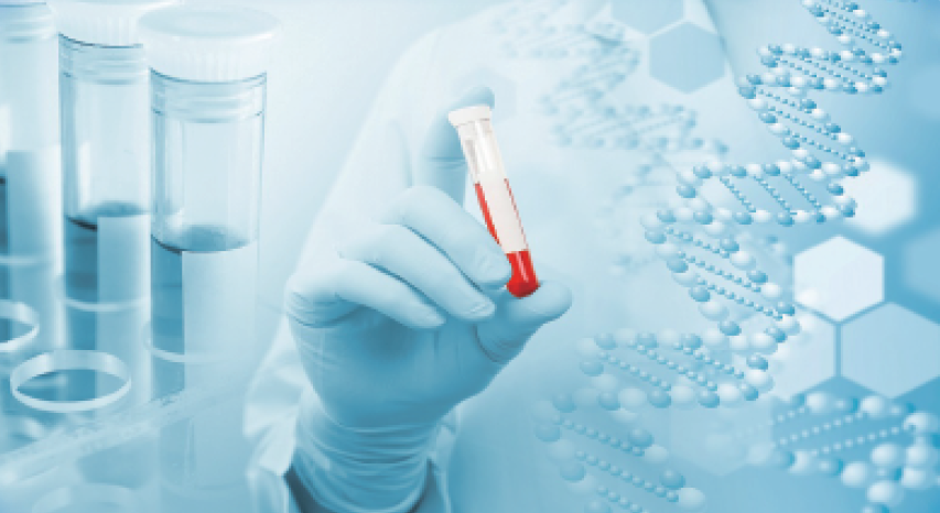 メタボローム解析で製品価値を高めるヒントを見つけませんか