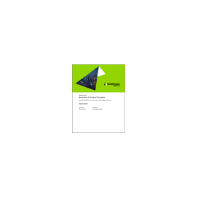 [English Market Research Report] EV...