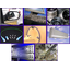 Daiichikasei Co., Ltd. Business Introduction
