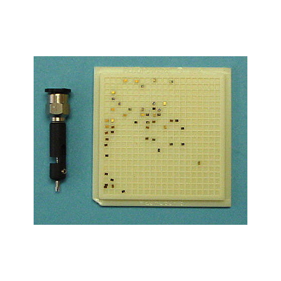 SA1.0x1.0(BN)1.jpg