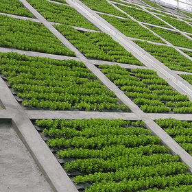 Slope greening, sediment control da...