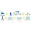 Custom antibody production service after translation modification