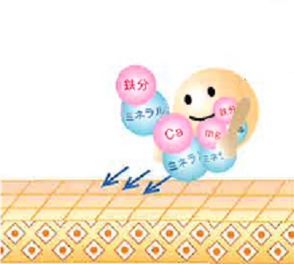 イオン交換物質 「フルボ酸」