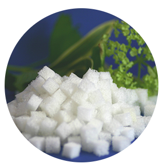 微生物固定化PVA担体『Y-CUBE(R)』