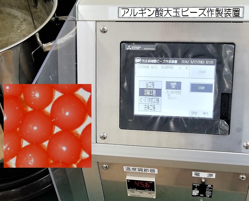 アルギン酸大玉ビーズ作製装置
