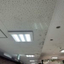 [Mold Removal Work Achievements] Certain Store Ceiling Board