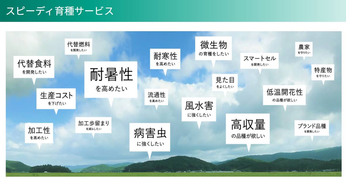 スピーディ育種サービス