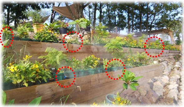 【事例】フォガー7800直付け潅水設置