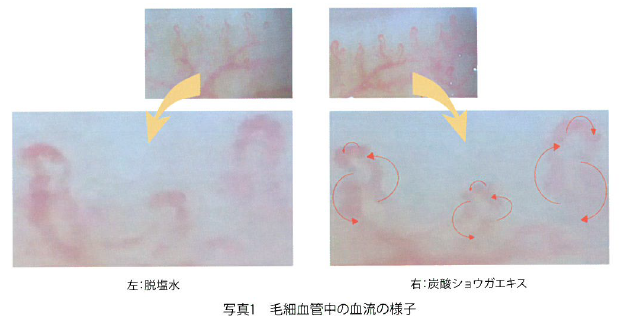 化粧品用原料『炭酸ショウガエキス』