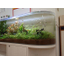 Rental aquarium