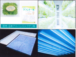 ツジコー株式会社 事業紹介