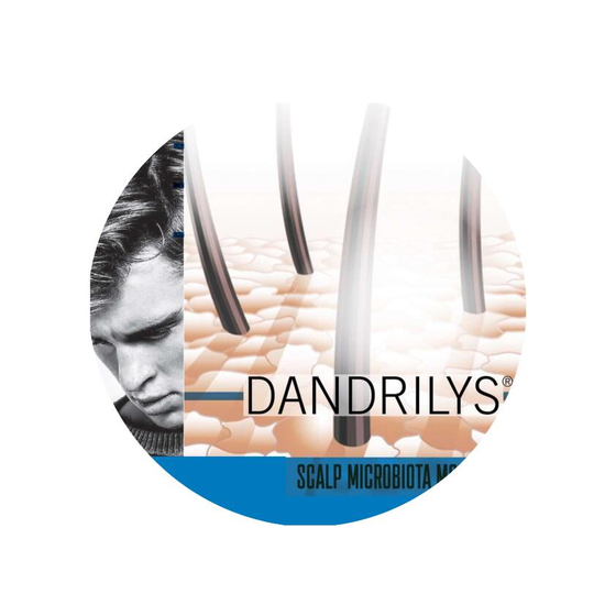 DANDRILYS表紙.jpg