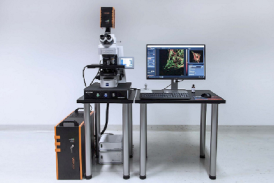 超解像STED顕微鏡 STEDYCON