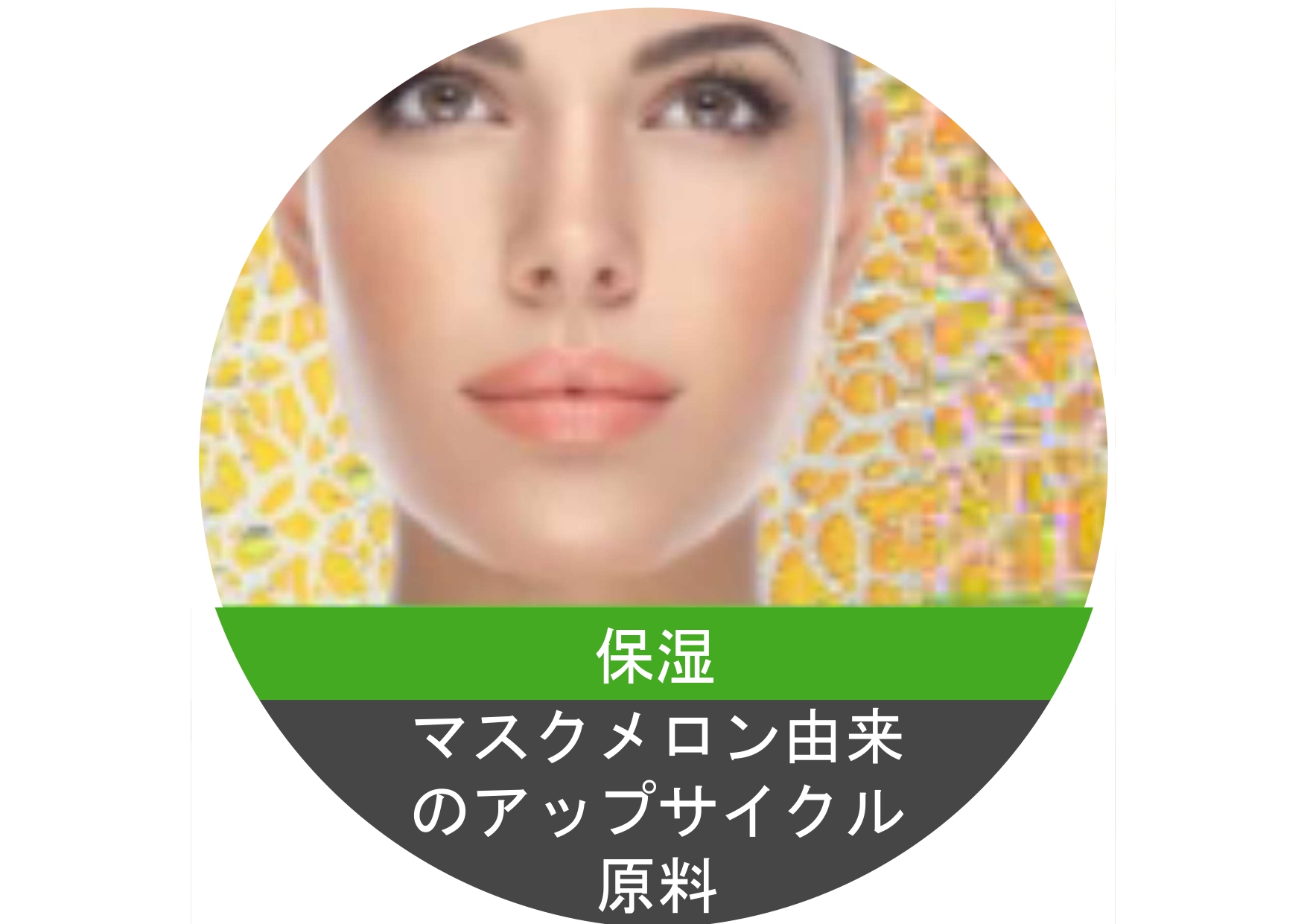 化粧品原料　プロバンス産マスクメロンの保湿成分　HYDRALYS
